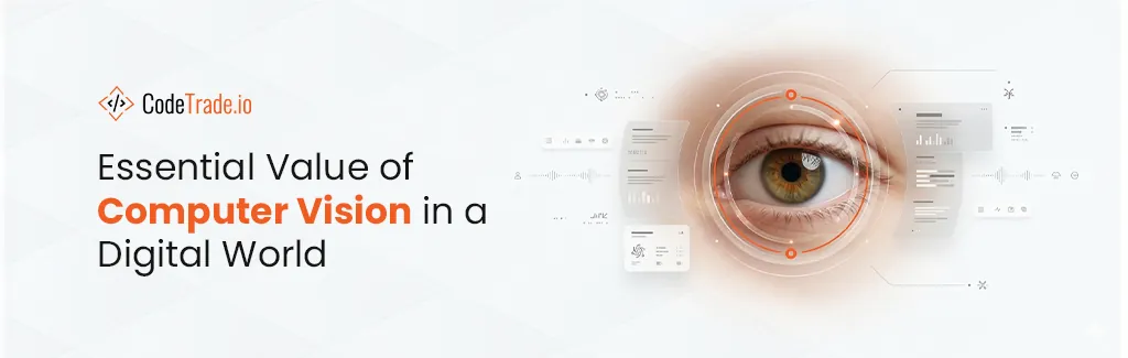 Essential Value of Computer Vision in a Digital World