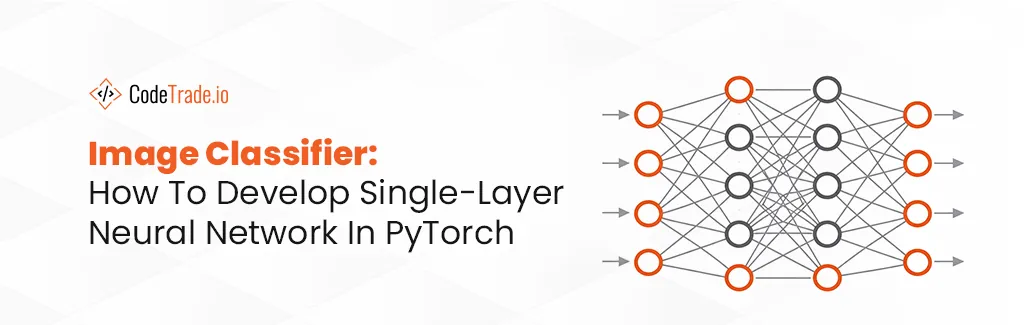 Image Classifier How To Develop Single-Layer Neural Network In PyTorch