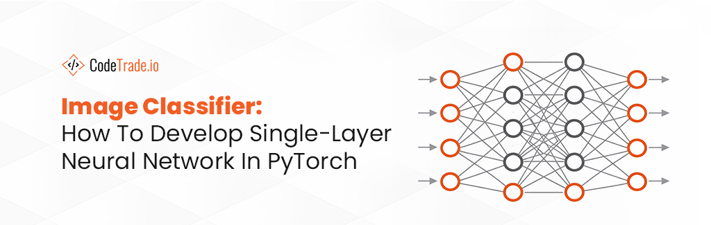 Image Classifier How To Develop Single-Layer Neural Network In PyTorch