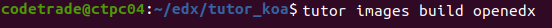 Build-an-Open-edX-Image-tutor-dev-koa-apply-theme