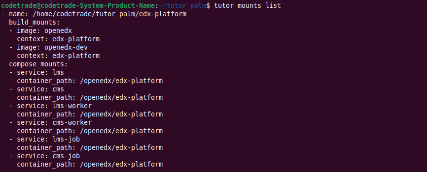 How-to-Mount-in-Tutor-Dev-Palm-Release-3