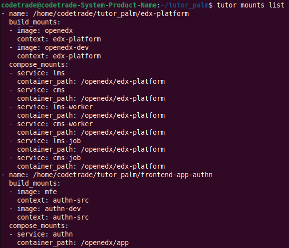How-to-Mount-in-Tutor-Dev-Palm-Release-9