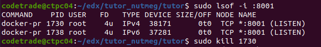 Install-Tutor-Dev-Nutmeg-6