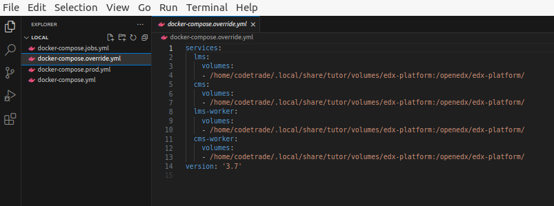 Mounting-in-Tutor-Dev-Koa-files-and-folders
