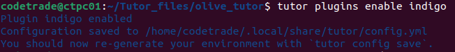 enable-idigo-theme-plugins-for-tutor-dev-olive-2