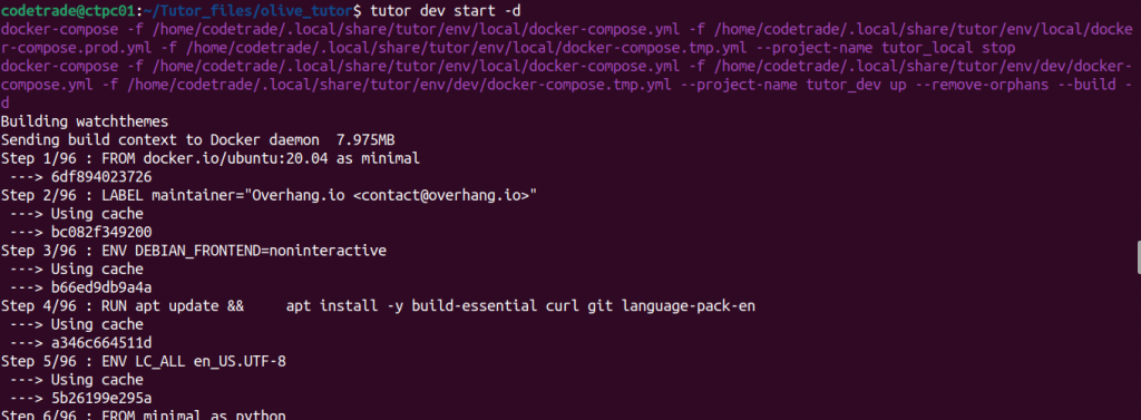 start-tutor-dev-olive-7