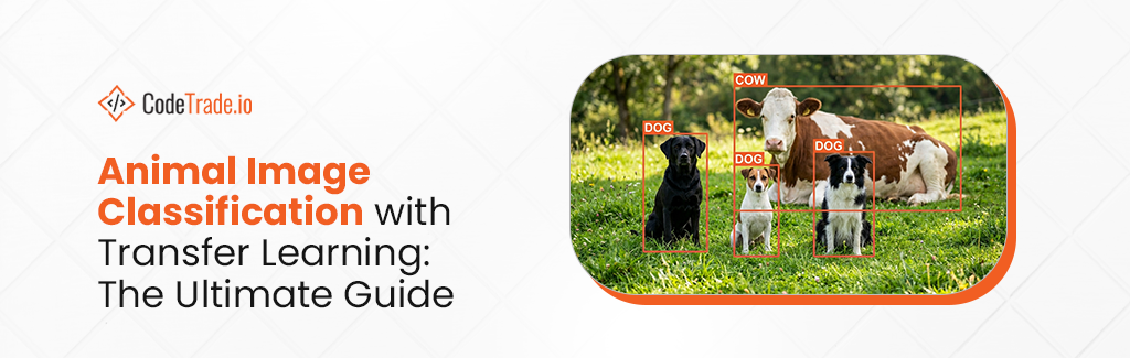 Animal Image Classification with Transfer Learning The Ultimate Guide