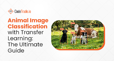 Ultimate Guide For Image Classification with Transfer Learning