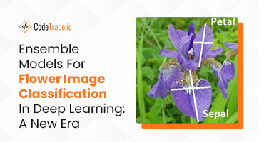 Flower Image Classification using Ensemble Models | CodeTrade.io