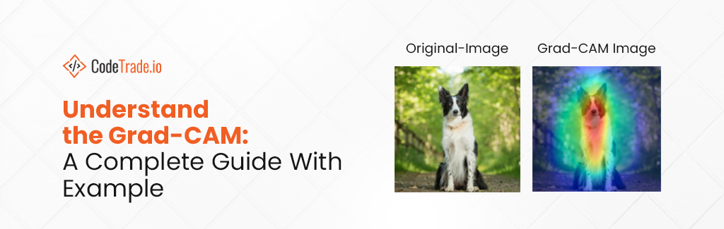 Understand the Grad-CAM A Complete Guide With Example