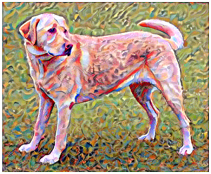 neutral-style-transfer- display-final-result