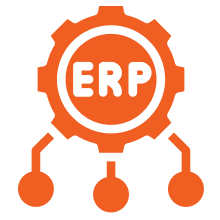 ERP & CRM Systems