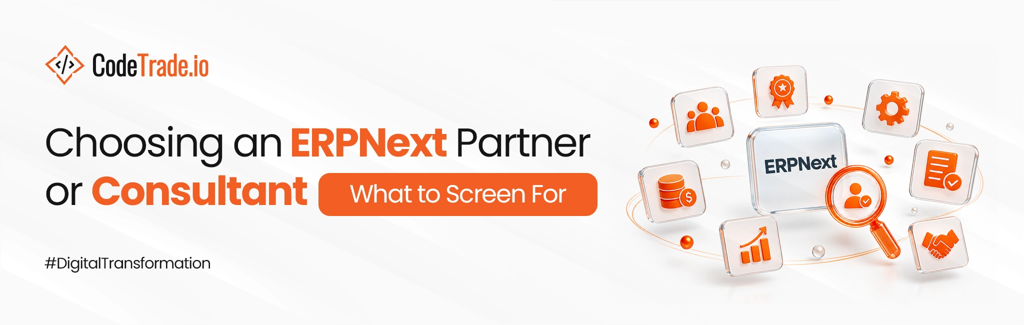 Choosing an ERPNext Partner or Consultant_ What to Screen For 01