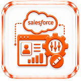Salesforce Customization