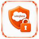 Salesforce Security